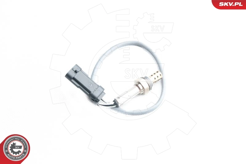 Oxygen Sensor